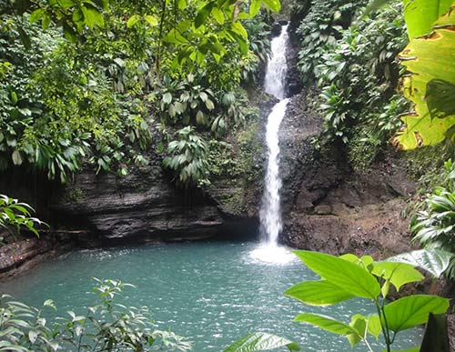 Symbiose Caraïbes Cascades