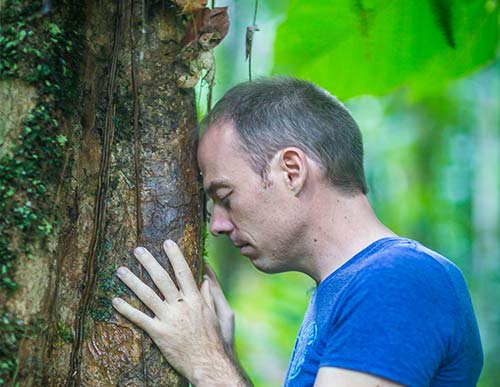 Yalode bain de forêt